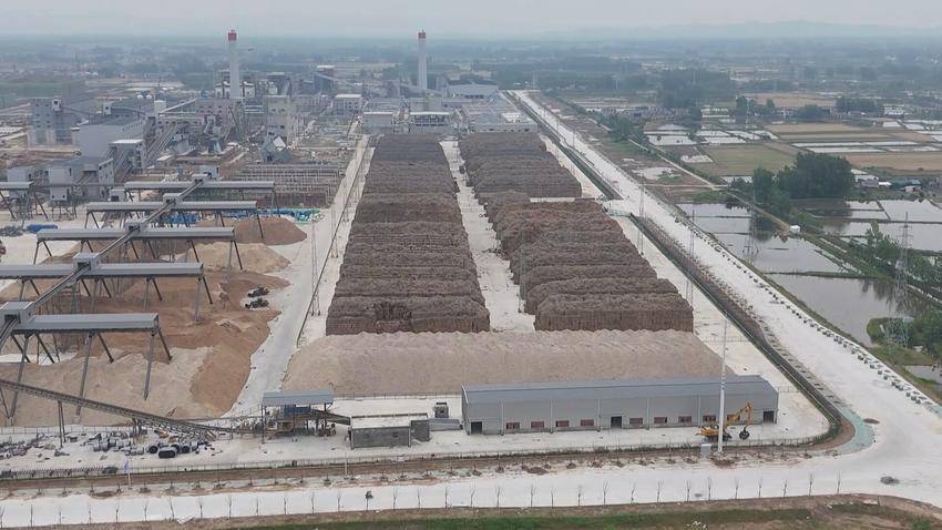 湖北石首:蘆葦變廢為寶,紙廠生產總值將突破110億