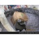 上海市銅版紙回收，楊浦區廢紙回收，閘北區文件銷毀中心