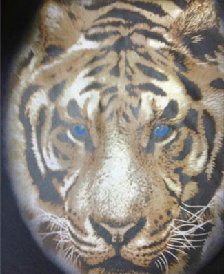 杭州印花材料批發,推薦宏奧印花材料廠家