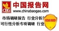 中國數(shù)碼印刷消費市場監(jiān)測與發(fā)展規(guī)劃研究報告