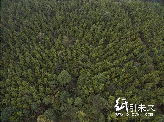 蘋果護(hù)林滿足包裝紙需求