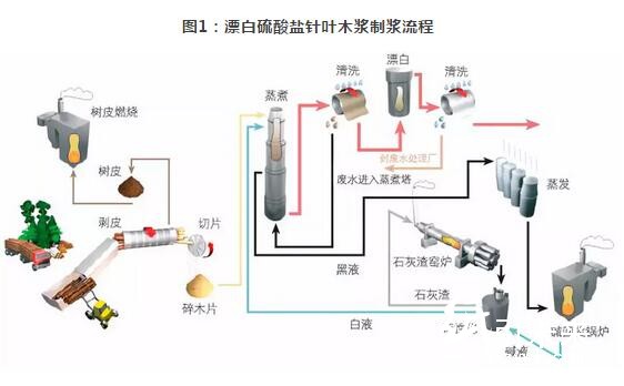 紙漿的生產流程和應用